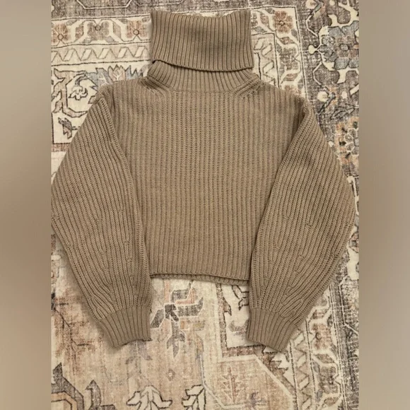 Aritzia Babaton Guell Turtleneck Sweater - Picture 1 of 1